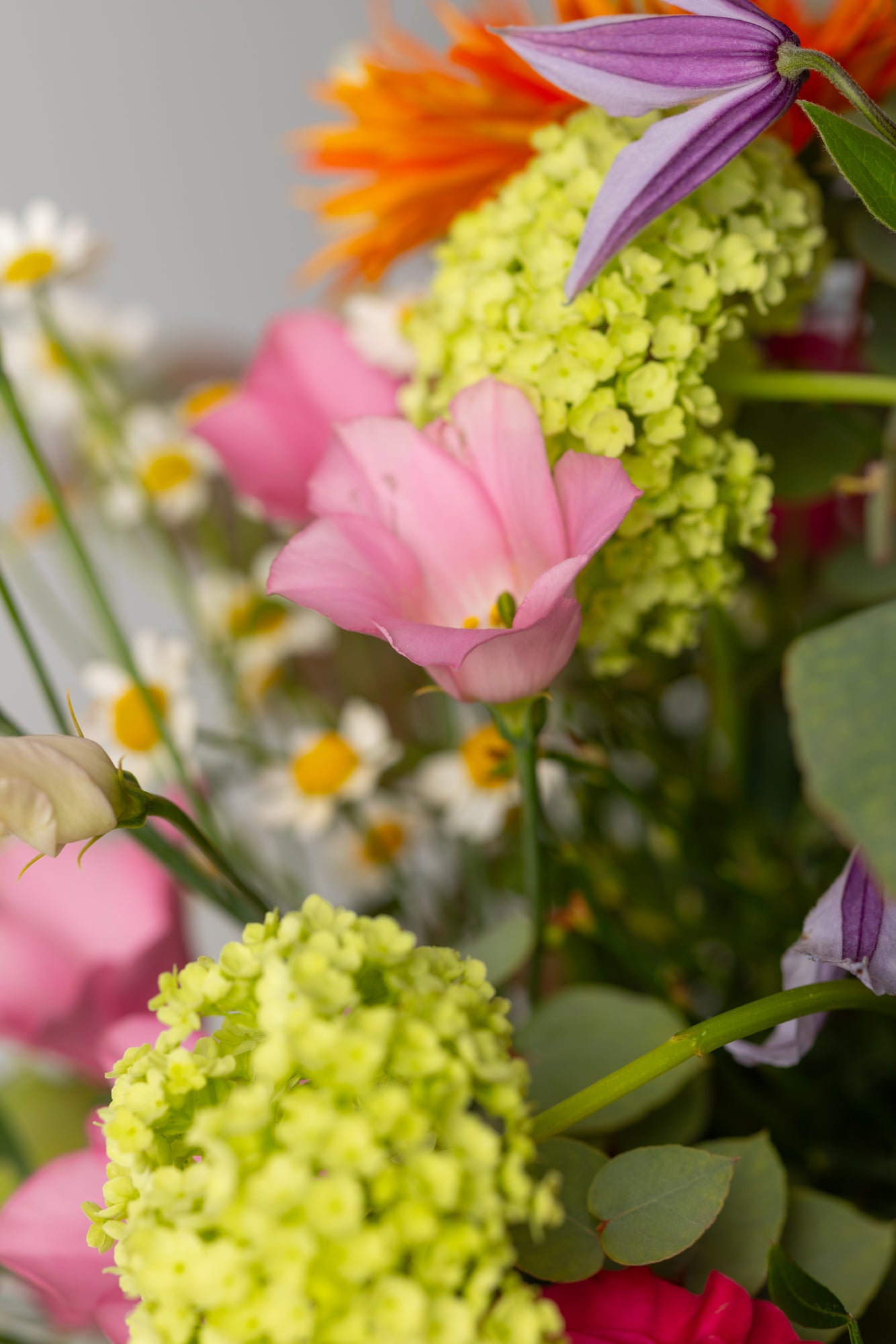 Blumenstrauß *BlumenLiebe