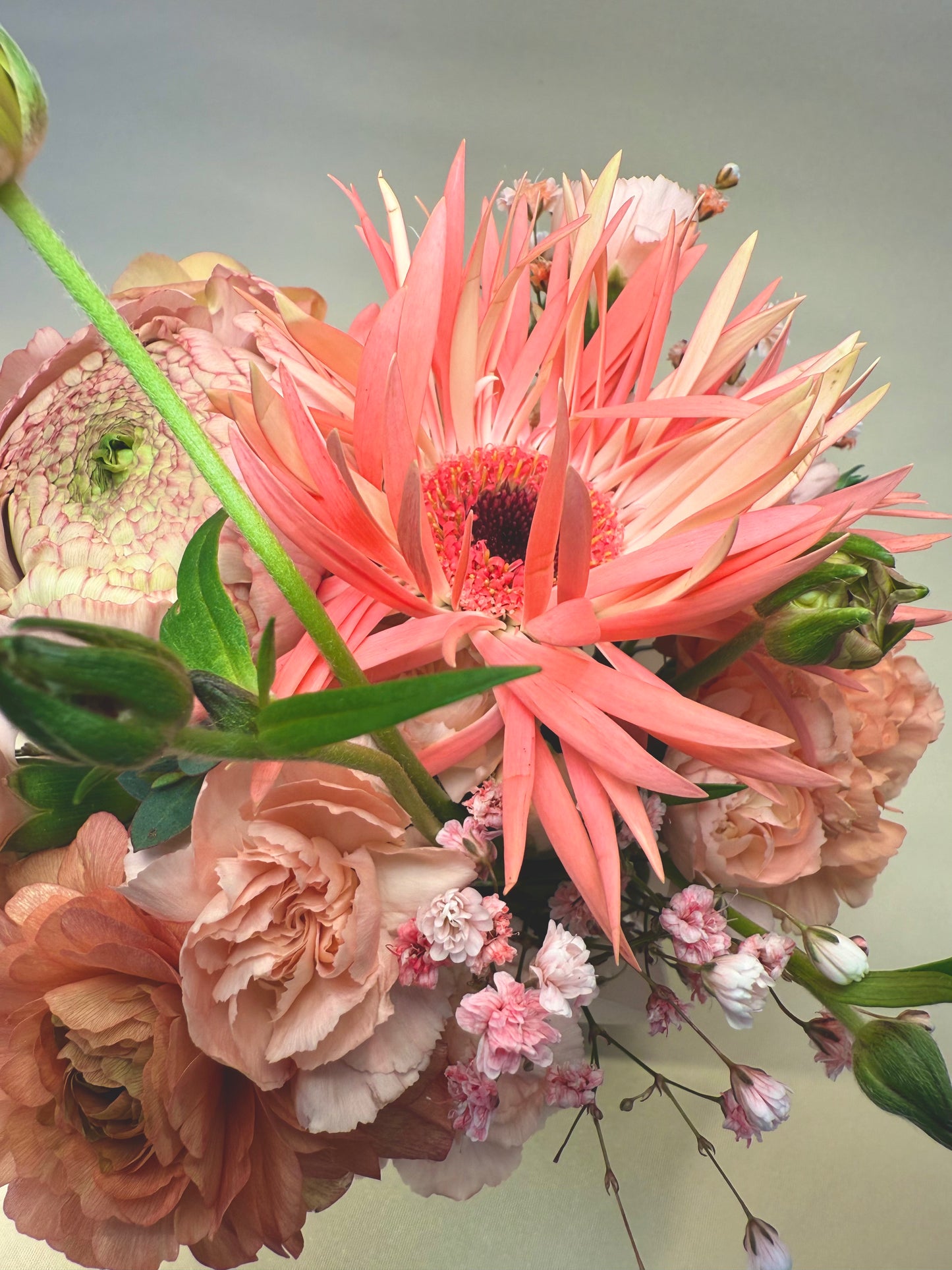 Flower Cupcake *korall